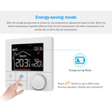 Thermostat tactile programmable Wengart WG372, AC230V 3A