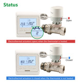 Wengart 2 Wire Thermal Actuator Valve WG03, 100Pack Normaly Closed AC230V for Underfloor Heating Manifold with Itinerary